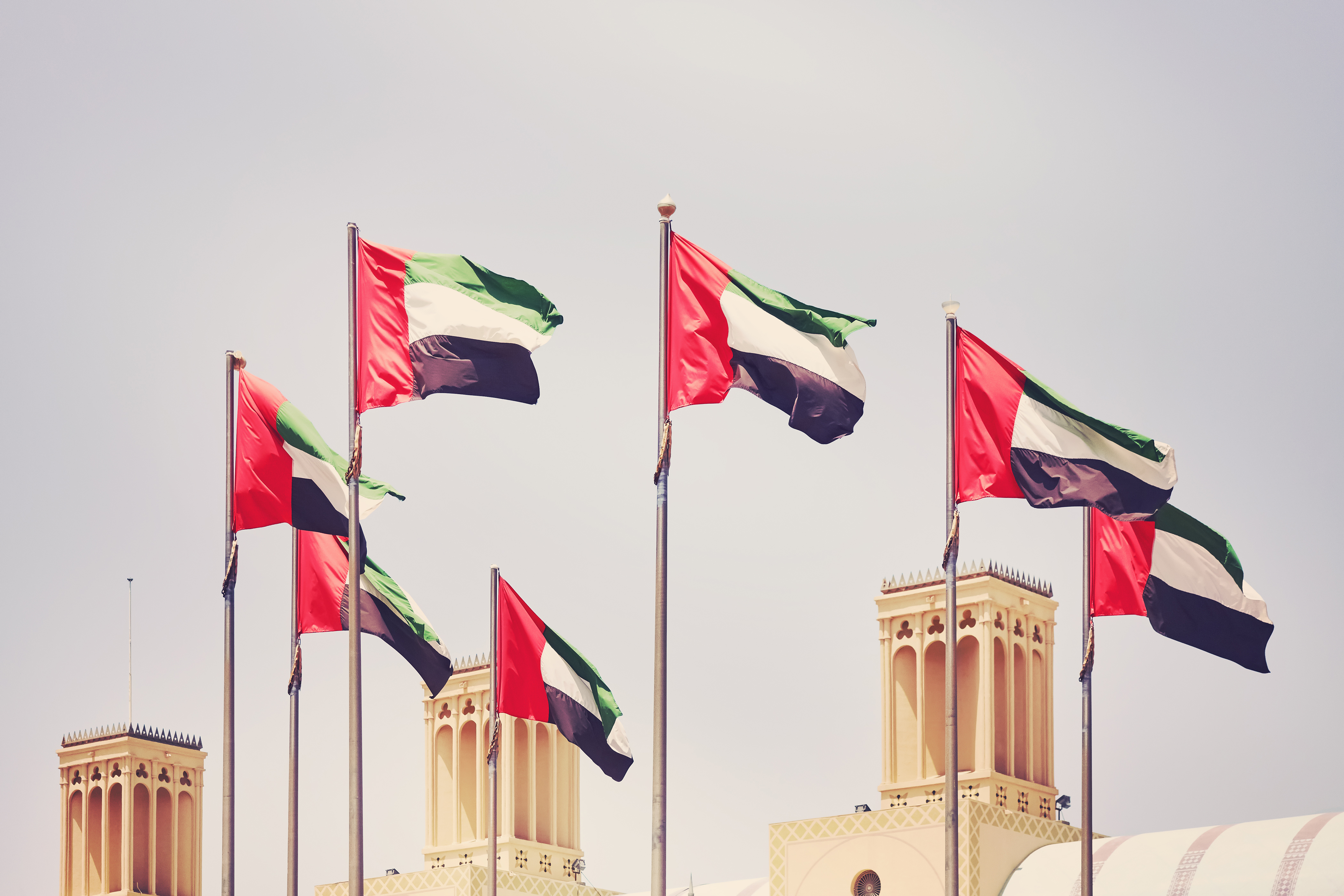 A state building with UAE flags that introduces the Green Visa for investors and businessmen