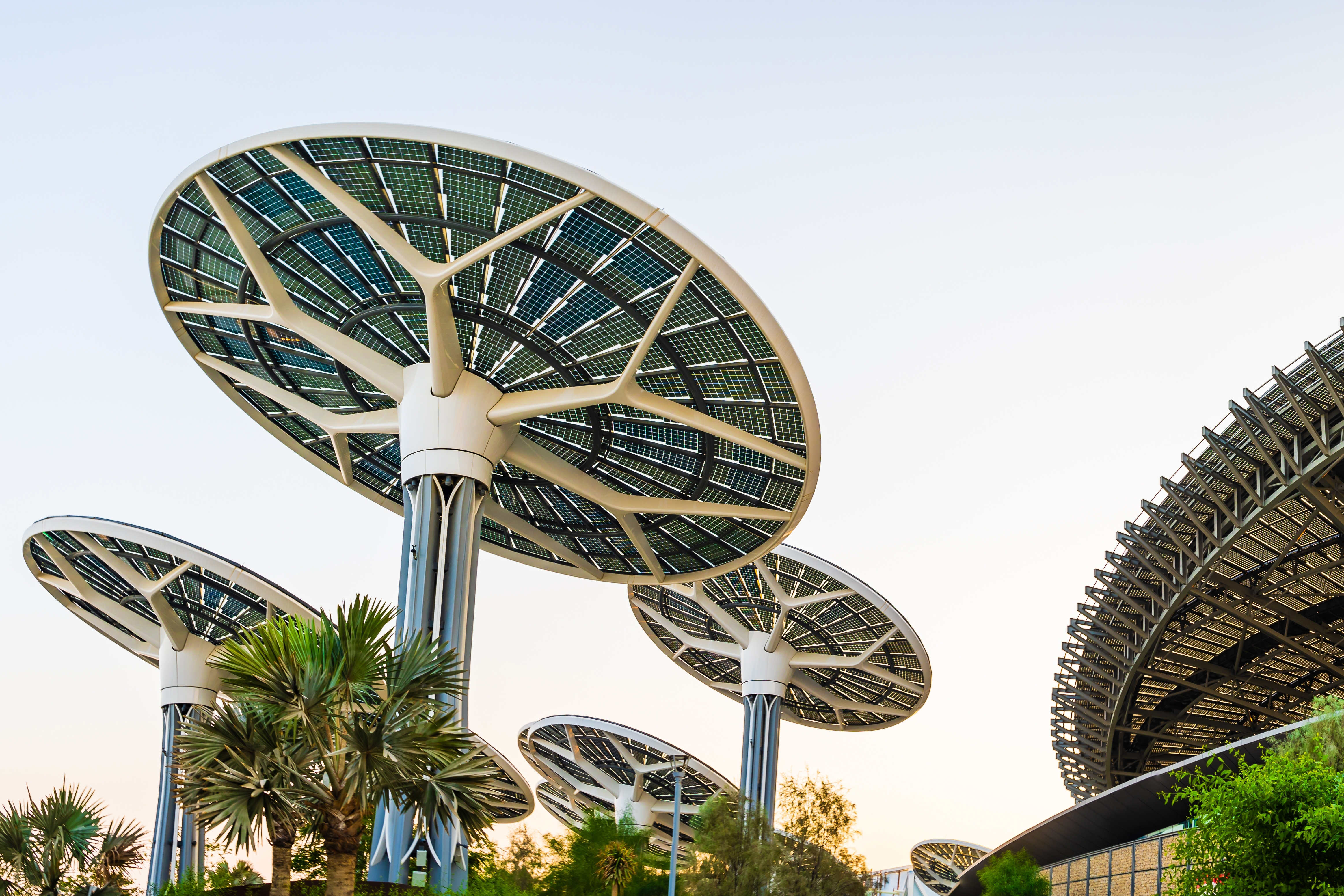 The choice of the UAE for launching a startup