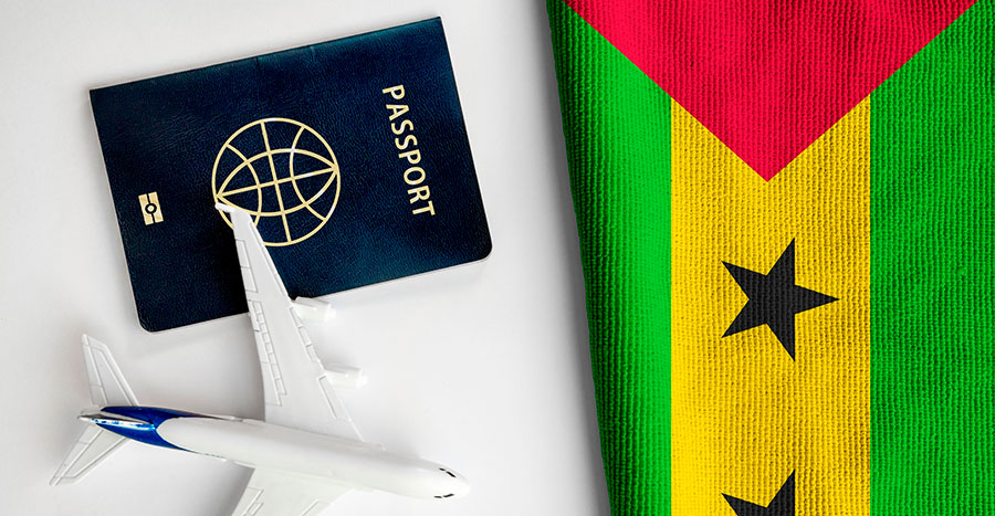 Remote passport application